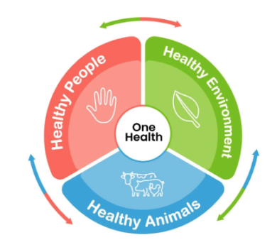Illustration of One Health connections between animals, humans, and the environment